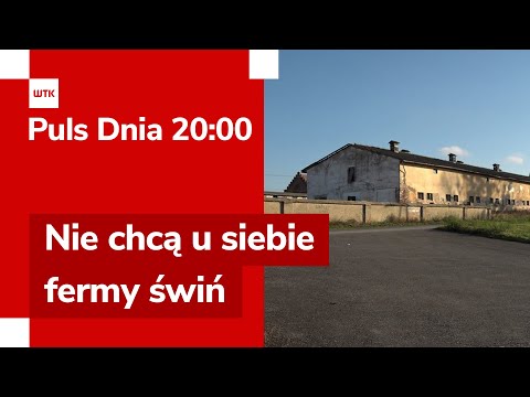 Dispute over a 10,000-head pig farm in Objezierze. Consultations and protests | Puls Dnia 20:00