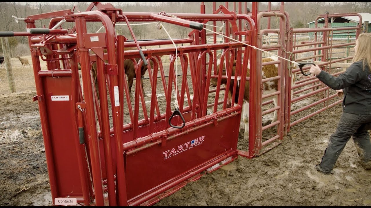 Cattlemaster Series 3 Manual Headgate Tarter USA