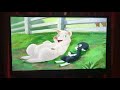 Opening To The Wild Thornberrys Movie 2003 VHS Canadian Copy