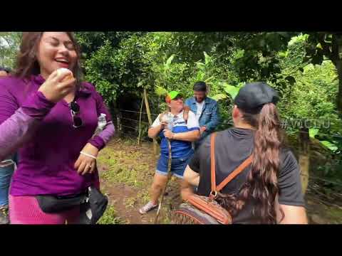 10 de febrero de 2025