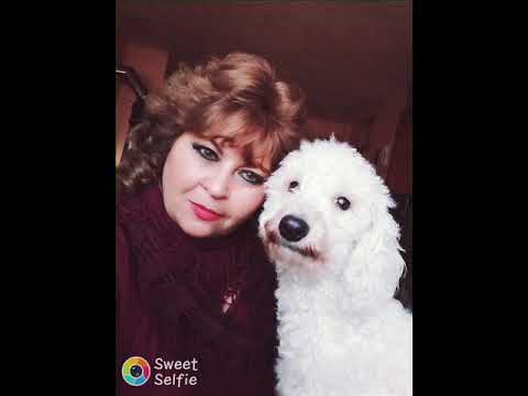 ANGY BOSSEL TEMA: El golpe traidor - (cover ) no tengo los derecho del autor