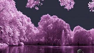 Jim Reeves: Welcome to My World