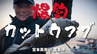 フグの釣果写真