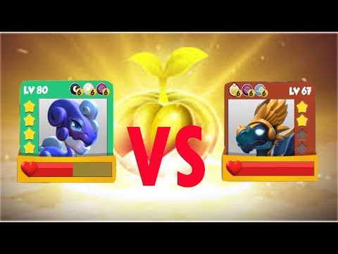ENCHANT DRAGON BATTIE | STARUST VS Hypnos LV 80 VS 67 - Dragon Mania Legends | part 794 HD