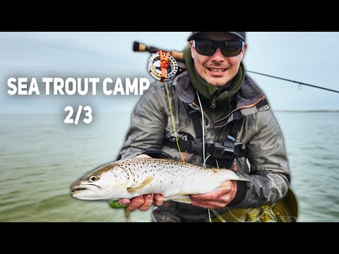 Tricky Sea Trout And Flat Water - 3 Days Of Sea Trout Fishing (2/3)