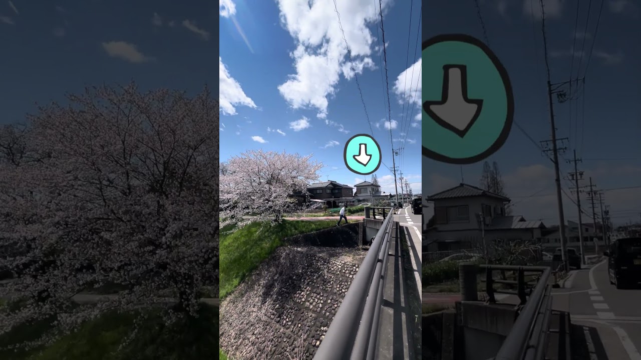 ซื้อบ้านร้างญี่ปุ่นแถมวิวซากุระ #ชีวิตในญี่ปุ่น #บ้านร้างญี่ปุ่น