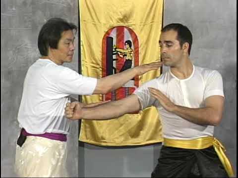 William Cheung Lineage TWC - Bil Jee Form (Biu Ji)  | HHSMA