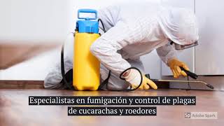Miniatura del video