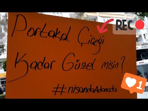 Adana Portakal Çiçeği Karnavalı 2019 İlk Gün | Fenomen Evinde Kalmak | Röportaj Adam İçerir | Bahar