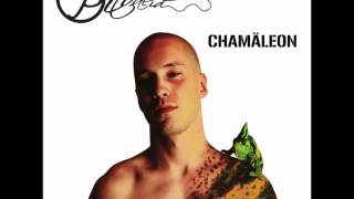 05 - Pitvalid - Chamäleon - Sommer am See