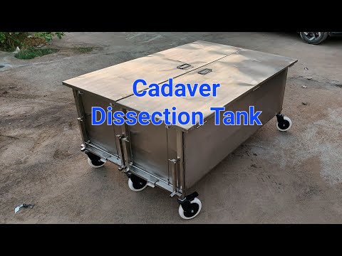 Dead Body Storage Cadaver Tank