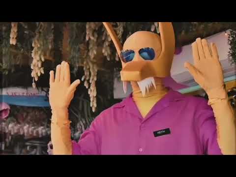 Subwoolfer «One year on Earth» edit