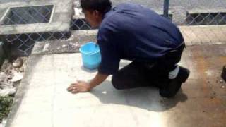 Download lagu Biawak tamil mp3