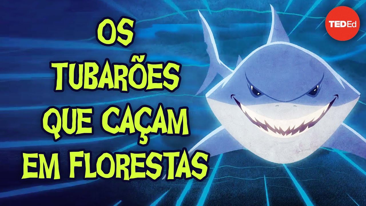 Os tubarões que caçam em florestas - Luka Seamus Wright
