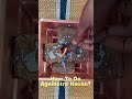 Suryast Ke Samay Agnihotra Havan Shorts Agnihotrahavan Hinduism Sunsethavan