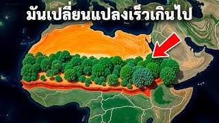 Why the World's Largest Desert May Look Dramatically Different Soon