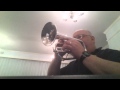 Taps for Clark Terry - God speed CT