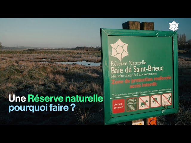 Une Réserve naturelle pourquoi faire ?