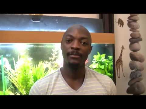 le symbole caché de l'étoile de David,  le sceau de Salomon... Zouloula100