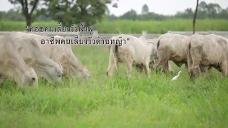 ทอชทีวี ดินเปลี่ยนชีวิต ตอน ปลดสนตะพายคนเลี้ยงวัว (ตอน 5) ทอชทีวี ดินเปลี่ยนชีวิต ตอน ปลดสนตะพายคนเลี้ยงวัว (ตอน 5)