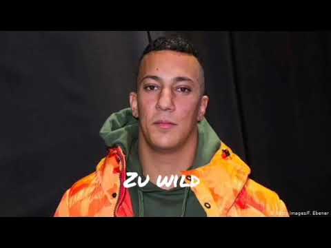 Zu wild (Azad, Farid bang)