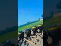 Sara Khana Kharab Kr Deya Shorts Viral Ytshorts