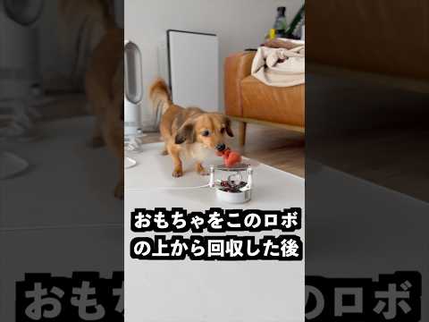 ボールを投げると絶対に落とさないロボに水を垂らせばこぼさないはず！