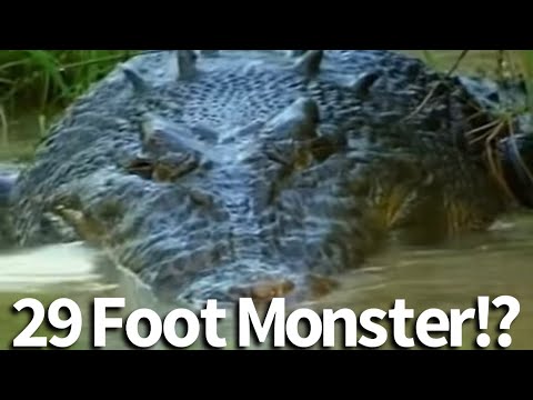 29 Foot Crocodile in Australia Seen