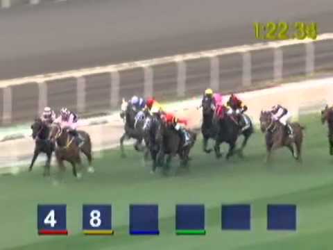 2010 Hong Kong Mile(G1) Beauty Flash