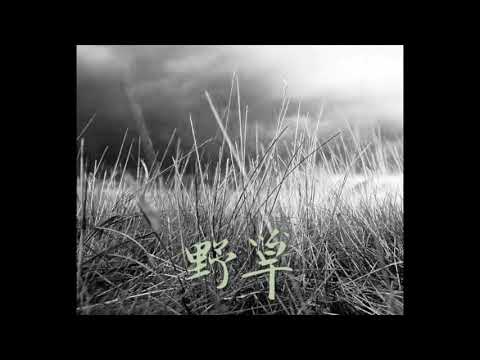 Wild Grass by Zhou Long, Cello: Yijia Fang, 大提琴独奏《野草》，作曲&朗诵：周龙，大提琴：方义嘉
