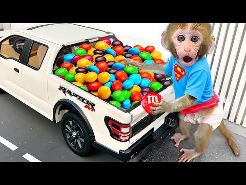 Singe Bon Bon conduit une voiture pour acheter des M&M colorés avec un adorable bébé singe