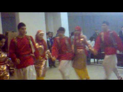 howara dabkah at museum day.the best 2nd 1