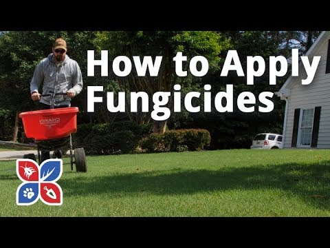  Do My Own Lawn Care - How to Apply Fungicides Video 