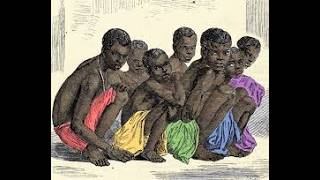 Operação Águia - Comércio Doméstico de Escravos  (E 23)