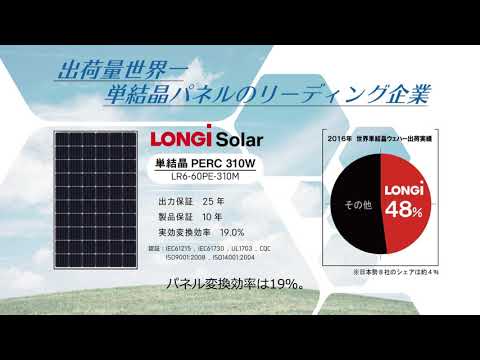 サリゾールについて詳しく解説