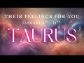 TAURUS Tarot ️ They Realized They Messed Up And Now They Re Terrified January 2026 8th 11th