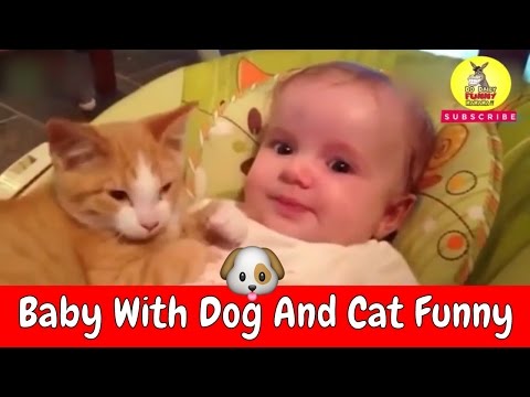 Best naughty Baby with cat and dog funny videos compilation 2017