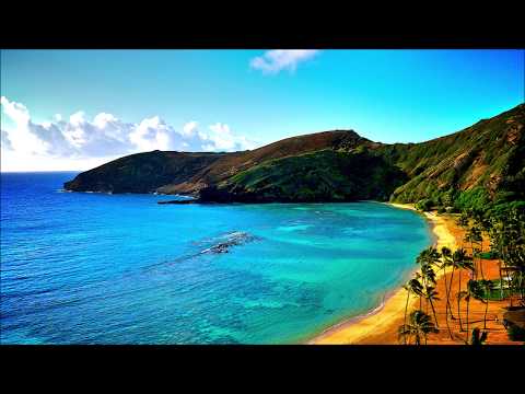 Xpectra Feat. Dilnoza Islomova - No Love (ASPARAGUSproject Remix)