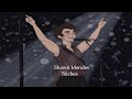 Shawn Mendes Stitches Live But Its Slowed Reverb