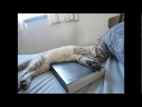 Video thumbnail for Heaven in Her Bed