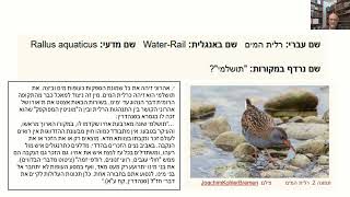 דף יומי מסכת סנהדרין דף קח Daf yomi Masechet Sanhedrin page 108  ע"י יוני גוטמן (שיעורי הדף היומי ב-20 דקות – מועבר ע"י ר' יוני גוטמן – לעילוי נשמת אביו ר' אלימלך צבי (צביקה) גוטמן ז"ל) - התמונה מוצגת ישירות מתוך אתר האינטרנט יוטיוב. זכויות היוצרים בתמונה שייכות ליוצרה. קישור קרדיט למקור התוכן נמצא בתוך דף הסרטון