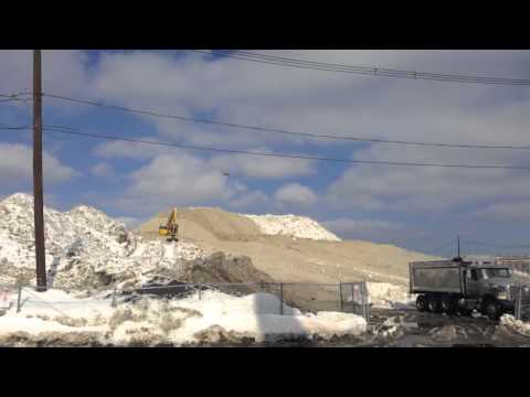 South Boston Seaport Snow Farm! + Photos 2/22/15