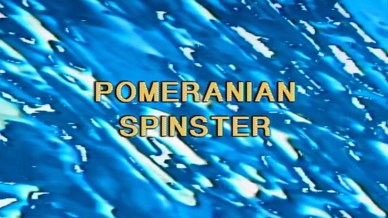 Alvvays - Pomeranian Spinster