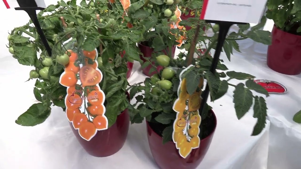 Spring Trials 2023 - Prudac