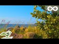 Kesä Calm Instrumental Music Summer Sunshine
