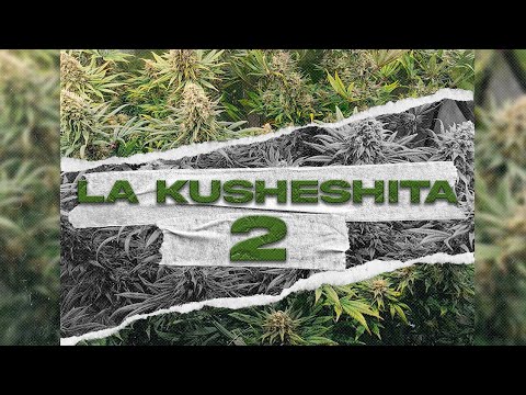 Daryel Cortes ❌ Los del Millon - La Kusheshita 2 (Video Oficial)