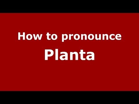 How to pronounce Planta