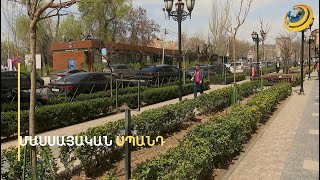 «Սա սպանդ էր բնության նկատմամբ». ըստ մասնագետների՝ հատված ծառերի մեծ մասը փտախտի նշույլ չուներ