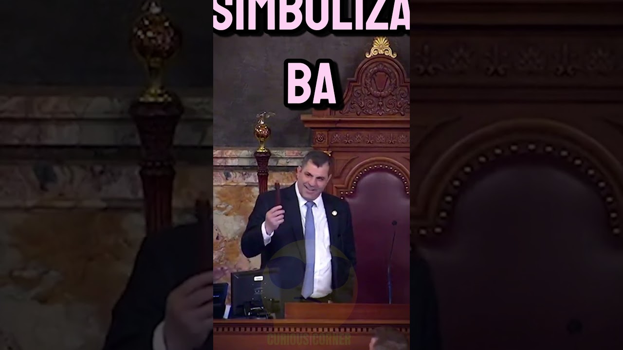 ¿Por qué usan un mazo los jueces?  #datosquenosabias #parati #sabiasque