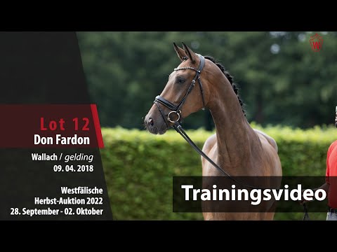 Herbst-Auktion Training Lot 12 Don Fardon Wallach v. Don Nobless - Fürst Heinrich